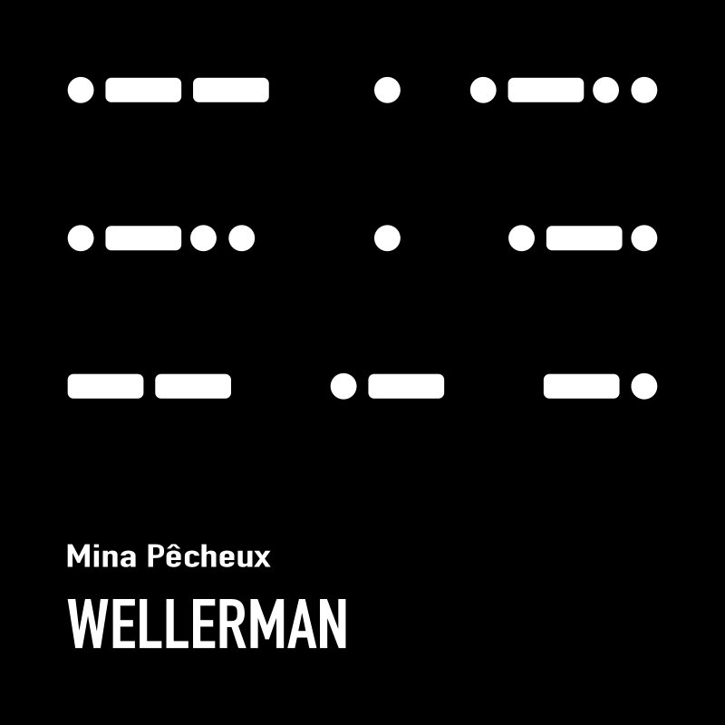 Wellerman (Cover)