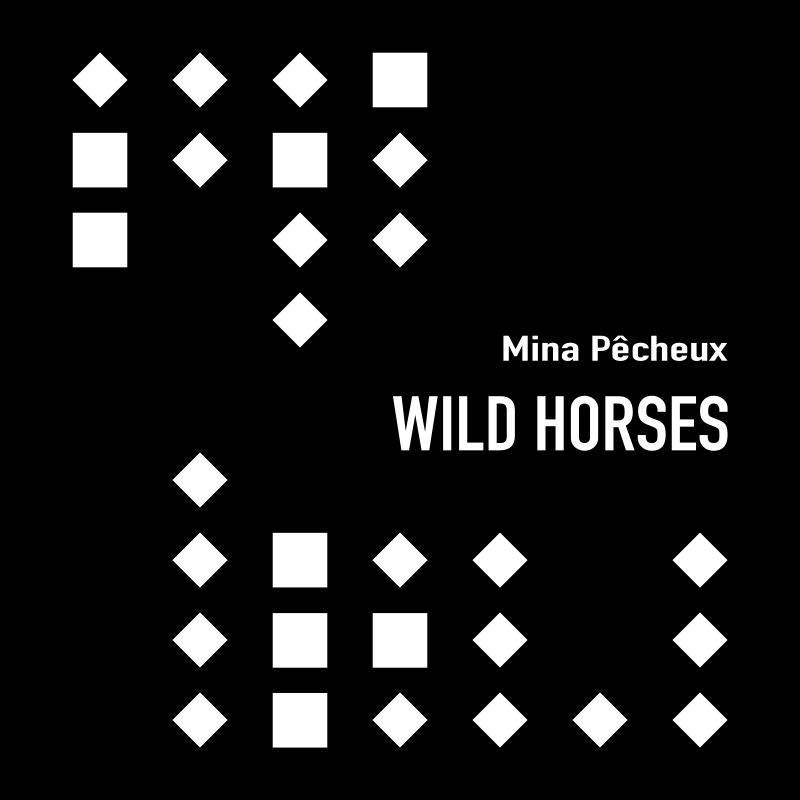 Wild Horses (Cover)